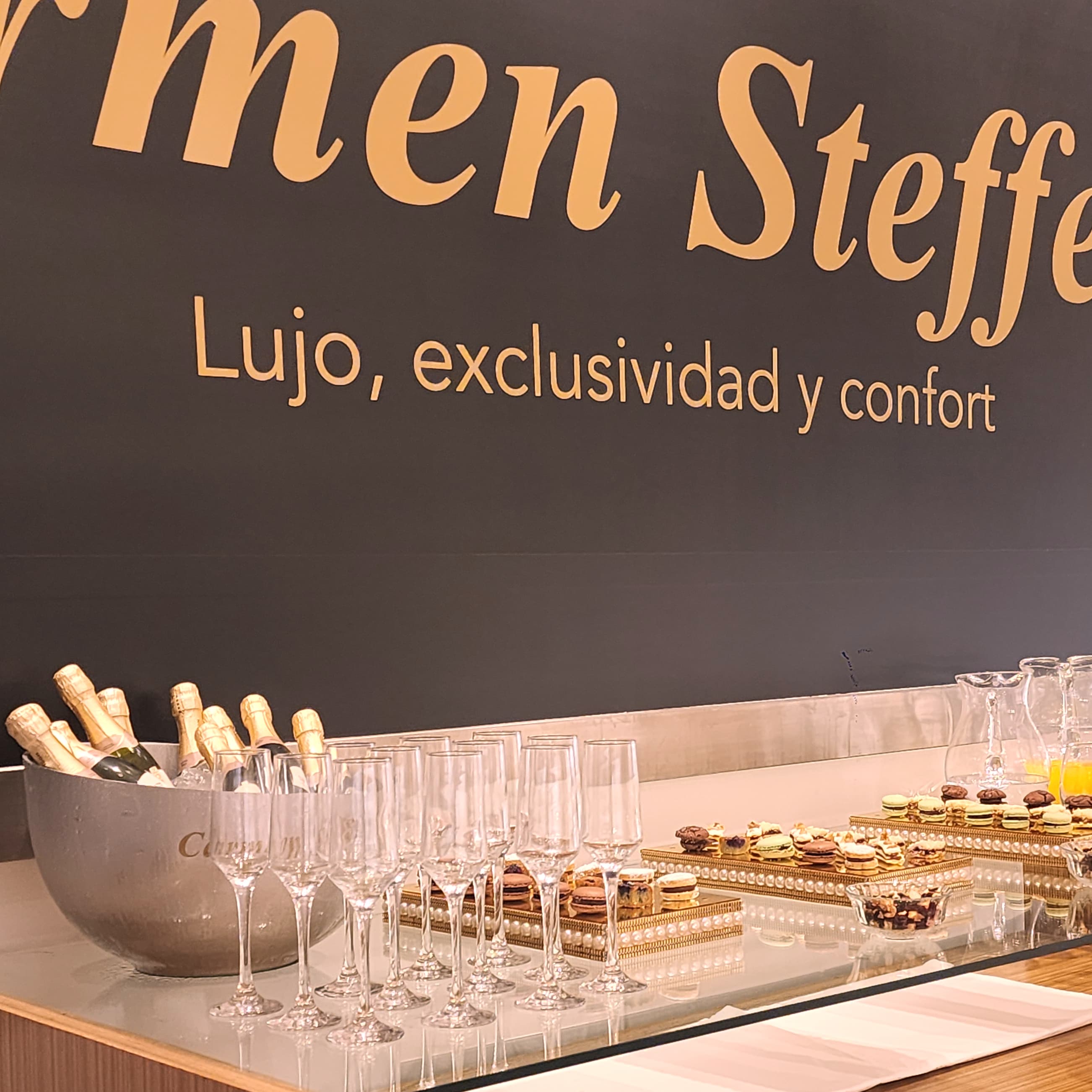 Lanzamiento Corporativo en Hotel Alvear - Evento organizado por Mariela L. Lusinian en Buenos Aires